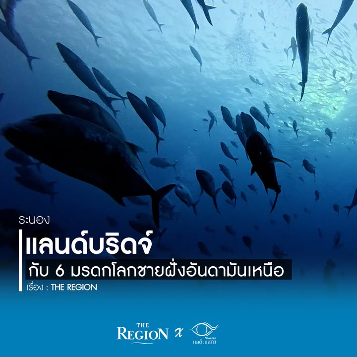 ภาพรวมของพื้นที่ชายฝั่งอันดามันตอนบน-จากระนอง-พังงา-จังหวัดภูเก็ต-เ