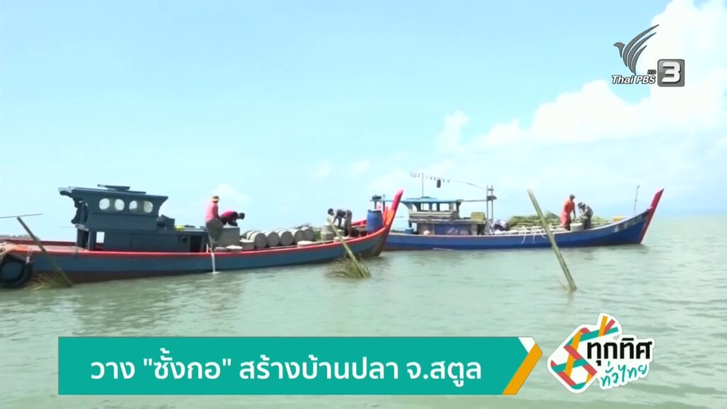 วาง-“ซั้งกอ”-สร้างบ้านปลา-จ.สตูลข่าวใต้แลได้ที่เรา-