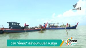 วาง-“ซั้งกอ”-สร้างบ้านปลา-จ.สตูลข่าวใต้แลได้ที่เรา-