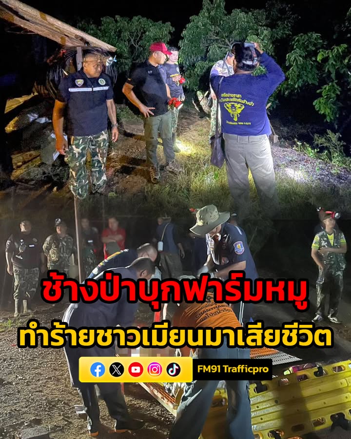 จนทขสป.เขาสอยดาว-สนธิกำลังเข้าจุดเกิดเหตุ​-หลังช้างป่าบุกฟา-|-2026-05-04-18:12:00