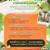 -เชิญรับชม-dwell-กิจกรรม-“tree-missions-ภารกิจนักสำรวจต้นไม้