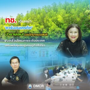 ทช.-เดินหน้า-คาร์บอนเครดิต-ป่าชายเลน-มอบอำนาจรองอธิบดี-ข