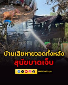 เพลิงไหม้เสียหายวอดทั้งหลัง-พบสุนัข-2-ตัวอยู่ในกรงข้างบ้าน-ถ-|-2026-05-06-22:34:00