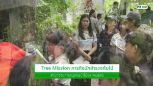stay-กิจกรรม-“tree-missions-ภารกิจนักสำรวจต้นไม้”-️-ใ