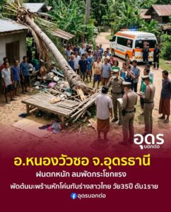 -อหนองวัวซอ-จ.อุดรธานี-พายุฤดูร้อนถล่มหนองวัวซอ-ซัดต้นมะพ