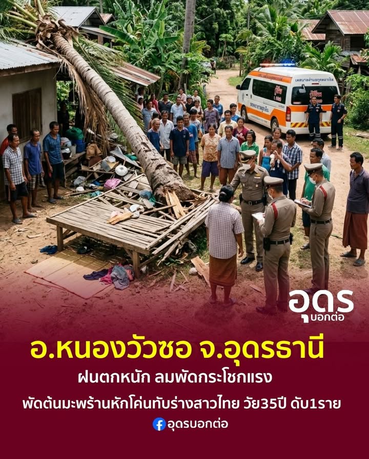 -อหนองวัวซอ-จ.อุดรธานี-พายุฤดูร้อนถล่มหนองวัวซอ-ซัดต้นมะพ