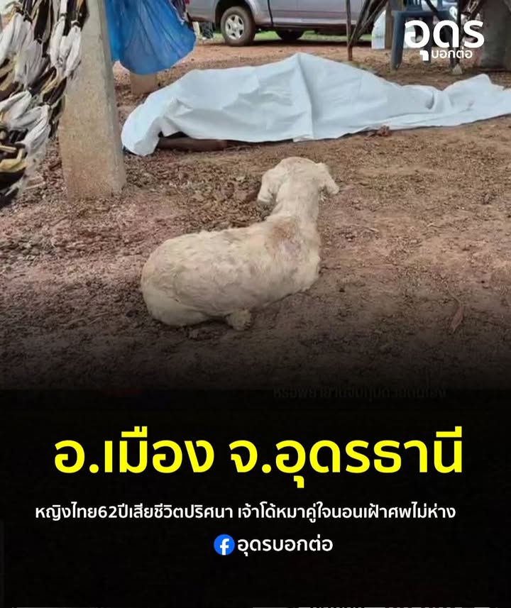 -อเมือง-จ.อุดรธานี-พบร่างป้าวัย-62-ดับปริศนาคาเปล-“ผ้าถุงห