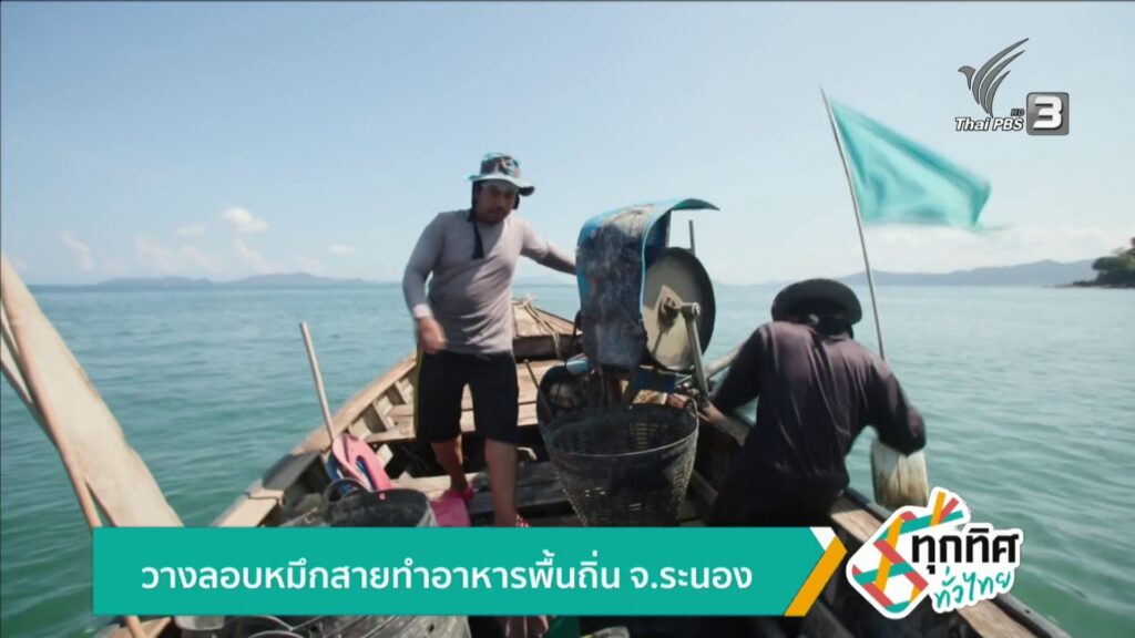 วางลอบหมึกสายทำอาหารพื้นถิ่น-จ.ระนอง-ข่าวใต้แลได้ที่เรา-#th
