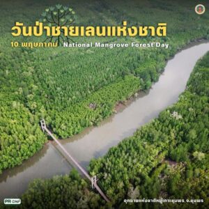 10-พฤษภาคม-ของทุกปี-วันป่าชายเลนแห่งชาติ-เพื่อตระหนักถึง
