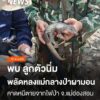 เจ้าหน้าที่ช่วย-“ลูกตัวนิ่ม”-พลัดหลงแม่กลางป่าผามอน-อ.ปางมะผ