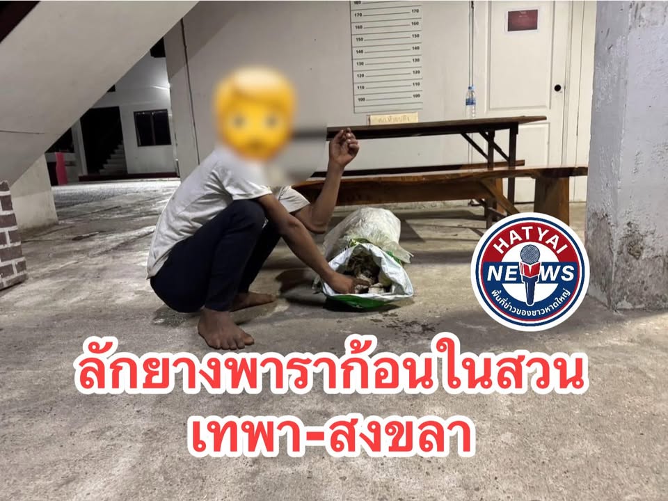 ตำรวจห้วยปลิง-รวบหนุ่มวัย-26-ปี-ลักยางพาราก้อนกลางสวน-เจ้า-|-2026-05-10-04:43:00