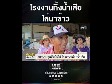 โรงงานทิ้งน้ำเสียใส่นาข้าว | สำนักข่าววันนิวส์