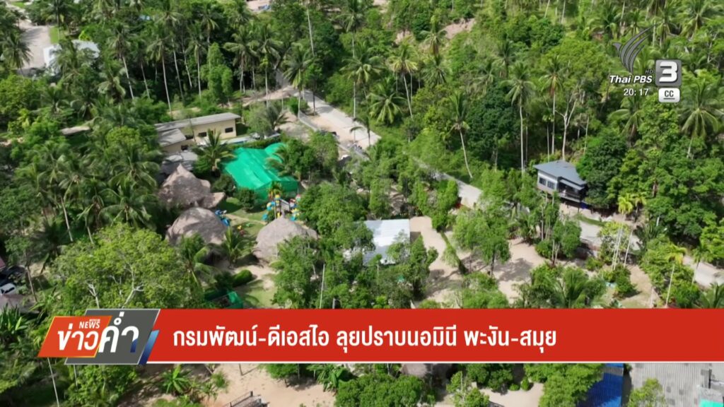 กรมพัฒน์-ดีเอสไอ-ลุยปราบนอมินี-พะงัน-สมุย-ข่าวใต้แลได้ที่เร