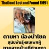 คุณธัญญาพร-ตามหา-น้องนำโชค-สุนัขพันธุ์โกลเด้นผสมลาบาเดอร์-สี-|-2026-05-11-04:20:00