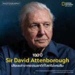 sir-david,-thank-you-to-your-wisdom,-your-kindness,-your-de