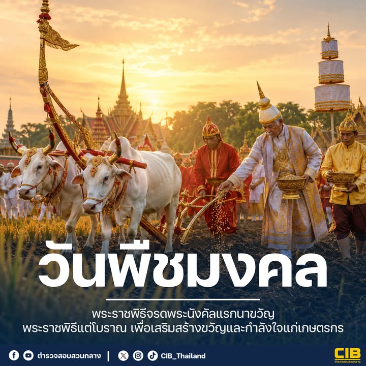 -๑๓-พฤษภาคม-๒๕๖๙-วันพืชมงคล.-วันพืชมงคล-คือ-วันที่กำหนดให้