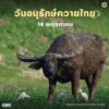 14-พฤษภาคม-“วันอนุรักษ์ควายไทย”-thai-buffalo-conservation-da