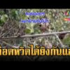 ด่วน ห้วยตามาเรียเดือด ไทย-เขมร เผชิญหน้า | ข่าวอรุณอมรินทร์ 14/05/69