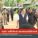 “อนุทิน”-ลงพื้นที่พะงัน-ตรวจสอบนอมินีต่างชาติ-ข่าวใต้แลได้ท