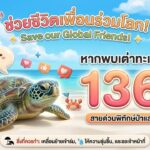 -ช่วยชีวิตเพื่อนร่วมโลก-หากพบ-เต่าทะเลเกยตื้น-โลมา-วาฬ