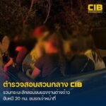 สนธิกำลังสกัดขบวนการลักลอบขนแรงงานต่างด้าว-ซิ่งกระบะหลบหนีกว