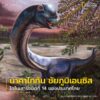 คณะวิจัยไทยนำโดยดอกเตอร์ศิตะ-มานิตกุล-นักสำรวจของเนชั่นแนล-จีโอกร