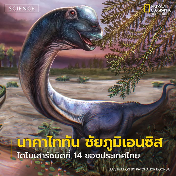 คณะวิจัยไทยนำโดยดอกเตอร์ศิตะ-มานิตกุล-นักสำรวจของเนชั่นแนล-จีโอกร