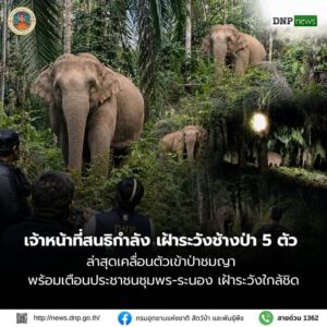 ðððð-:-เจ้าหน้าที่สนธิกำลังเฝ้าระวังช้างป่า-5-ตัว-ล่าสุดเคลื