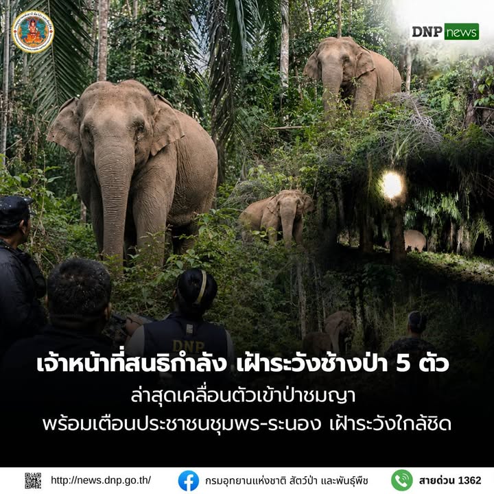 ðððð-:-เจ้าหน้าที่สนธิกำลังเฝ้าระวังช้างป่า-5-ตัว-ล่าสุดเคลื