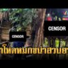 ด่วน ฆ่-าโหดหนุ่มใหญ่ทุ่งสง หมกขนำกลางสวนยาง | ข่าวอรุณอมรินทร์ 19/05/69