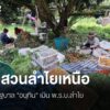 คณะกรรมการสภาอาชีพเกษตรกร-(สอก.)-และเครือข่ายชาวสวนลำไย-8-จั