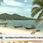 ตรวจสอบต่างชาติยึดครองเกาะพะงัน-จ.สุราษฎร์ธานี-ข่าวใต้แลได้