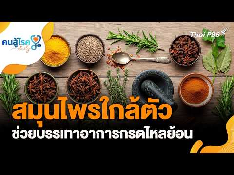 ð´ 15.05 น. สมุนไพรใกล้ตัว บรรเทากรดไหลย้อน | คนสู้โรค Day-to-day 19 พ.ค. 69