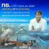 ทช.-ผนึก-iucn-และ-wwf-เดินหน้าชิงทุน-gef-9-ยกระดับอนุรักษ์