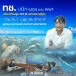ทช.-ผนึก-iucn-และ-wwf-เดินหน้าชิงทุน-gef-9-ยกระดับอนุรักษ์