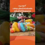 จ.พัทลุง เตือนน้ำท่วมฉับพลัน หลังน้ำป่าไหลหลาก |วันใหม่ ไทยพีบีเอส 21 พ.ค. 69