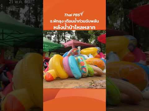 จ.พัทลุง เตือนน้ำท่วมฉับพลัน หลังน้ำป่าไหลหลาก |วันใหม่ ไทยพีบีเอส 21 พ.ค. 69