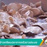 กือโป๊ะ-ข้าวเกรียบปลาจากครัวชาวประมง-ข่าวใต้แลได้ที่เรา-#th