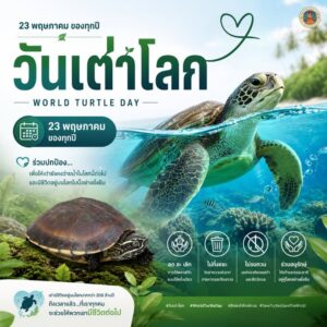 23-พฤษภาคม-ของทุกปี-เป็น-วันเต่าโลก-(world-turtle-day)-|-2026-05-23-00:04:00