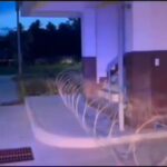 คลิปผู้ก่อเหตุลอบยิvเข้าไปบริเวณด้านหน้า-สภ.สายบุรีแห่งใหม่