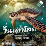 23-พฤษภาคม-วันเต่าโลก-ชวนมาร่วมกันอนุรักษ์เต่า-ตั้งแต่วั
