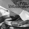 -กรมทะเลชายฝั่ง-ได้รับแจ้งจากคุณหนึ่ง​-นักตกปลาจังหวัดเพชร