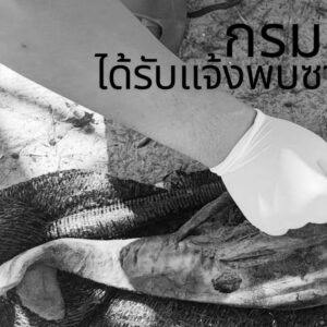 -กรมทะเลชายฝั่ง-ได้รับแจ้งจากคุณหนึ่ง​-นักตกปลาจังหวัดเพชร