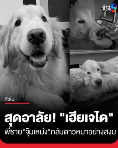 สุดอาลัย