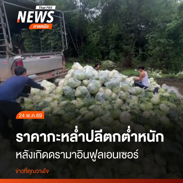 ภาพผลผลิตถูกทิ้งข้างทาง-เนื่องจากราคาตกต่ำอย่างหนัก-เป็นผลกร