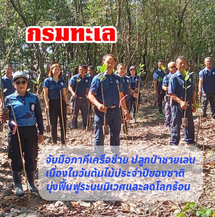 กรมทะเล-จับมือภาคีเครือข่าย-ปลูกป่าชายเลน-เนื่องในวันต้นไม้