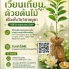 กรุงเทพมหานคร-ชวนร่วมกิจกรรม-เวียนเทียนด้วยต้นไม้-เนื่องใน-|-2026-05-26-03:46:00
