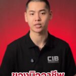 ️-ปภ.-ร่วมกับ-cib-เตือนภัย-อย่าหลงเชื่อลิงก์ปลอม-“ไทยช่วยไ