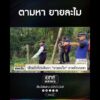 ตามหา ยายละไม | สำนักข่าววันนิวส์