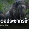 เขตรักษาพันธุ์สัตว์ป่าห้วยขาแข้ง-สำรวจประชากรช้าง-หลังพบมีกา